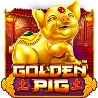 Golden Pig